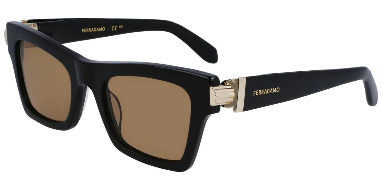 Ferragamo Cat Eye
